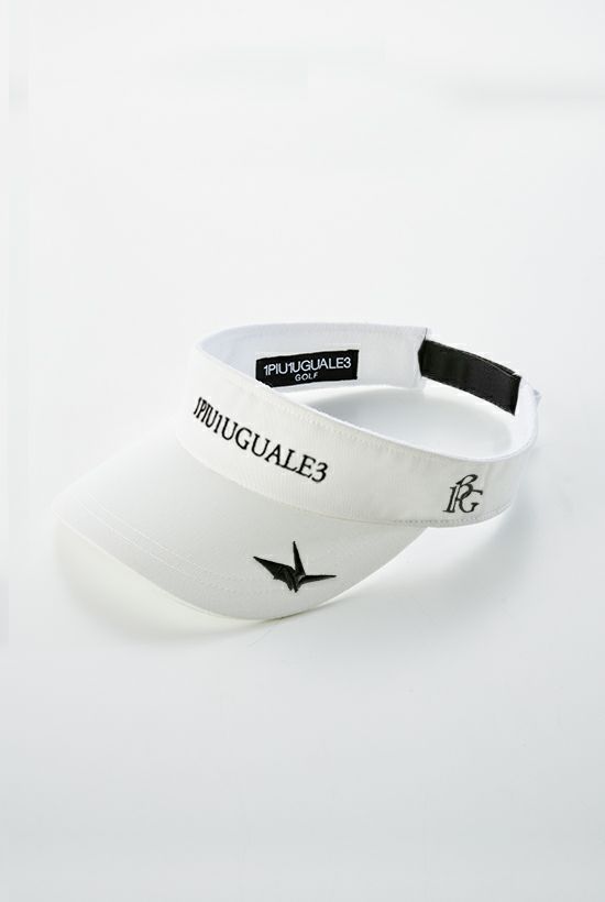 LIMITED VISOR